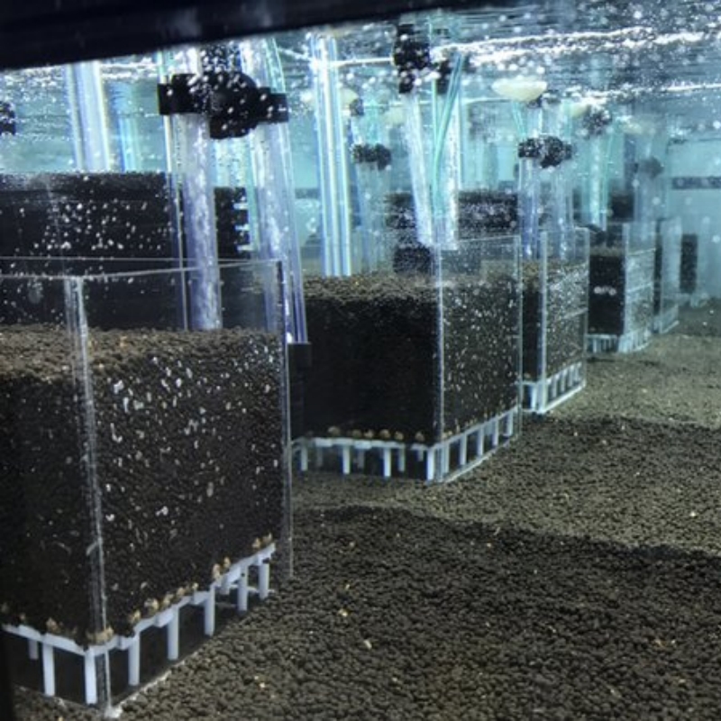 透明アクリル製エビ水槽フィルターシステム水槽スクエアUGFボ - Aquarium Fish Reproduction のレビューと価格