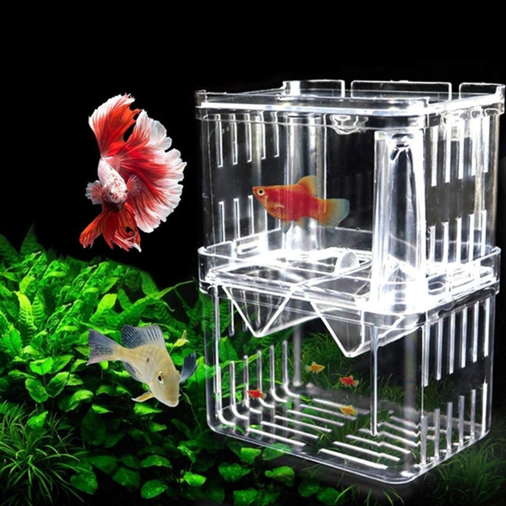 ベビーフィッシュ用タンク水槽 グッピー用 吸盤付き 魚の繁殖 - Aquarium Fish Reproduction のレビューと価格