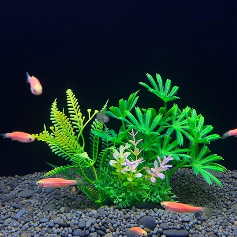 人工水槽装飾植物魚の装飾水族館造園シミュレーション水生植物装 - Aquarium Fish For Sale のレビューと価格