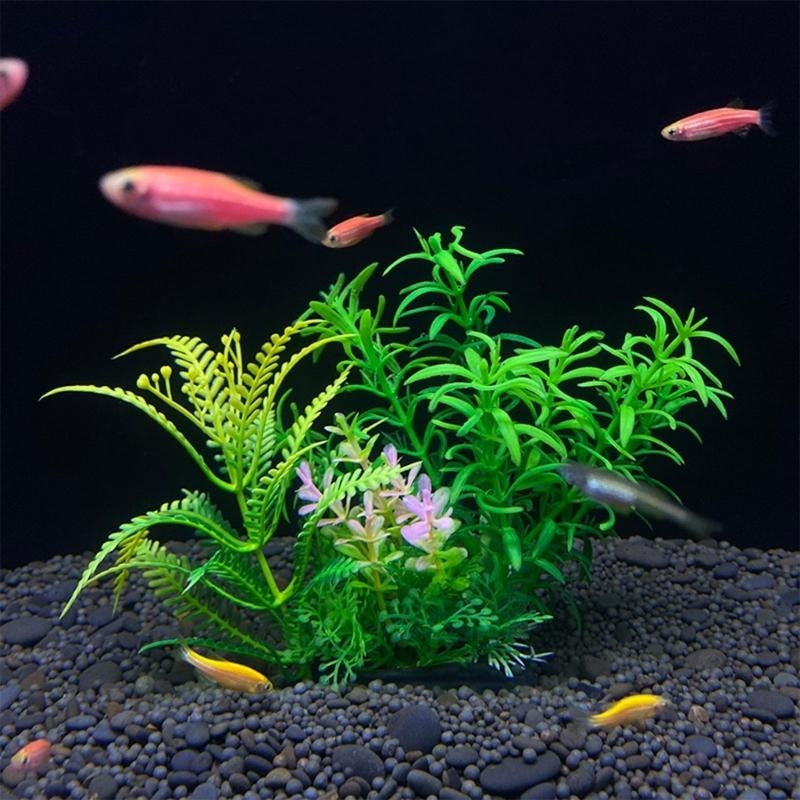 人工水槽装飾植物魚の装飾水族館造園シミュレーション水生植物装 - Aquarium Fish For Sale のレビューと価格