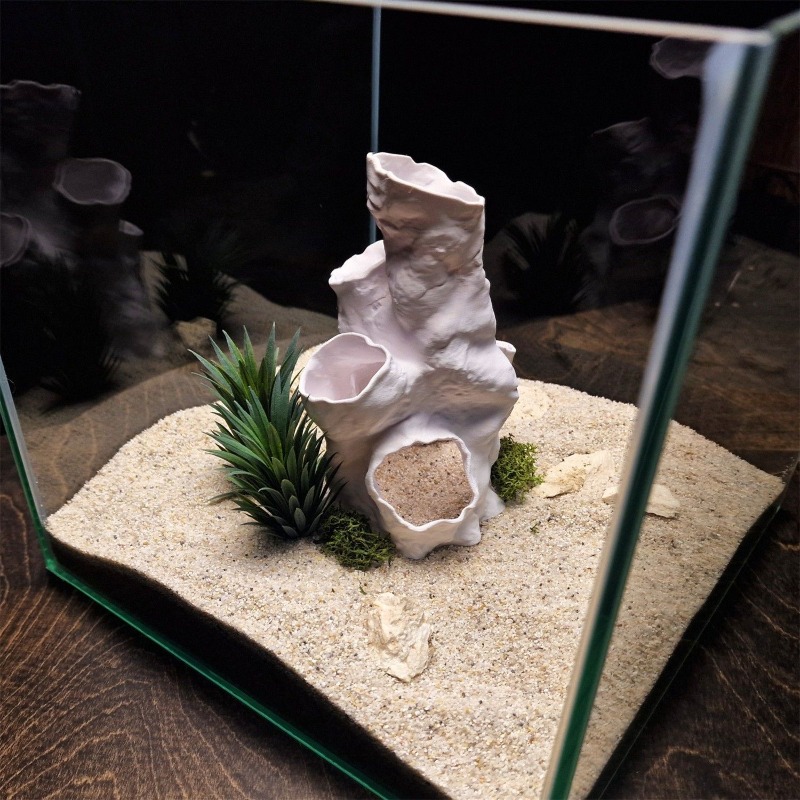 ホットセール 3Dプリント サンゴトンネル 隠れ家 植物イン - Aquarium Fish For Sale のレビューと価格