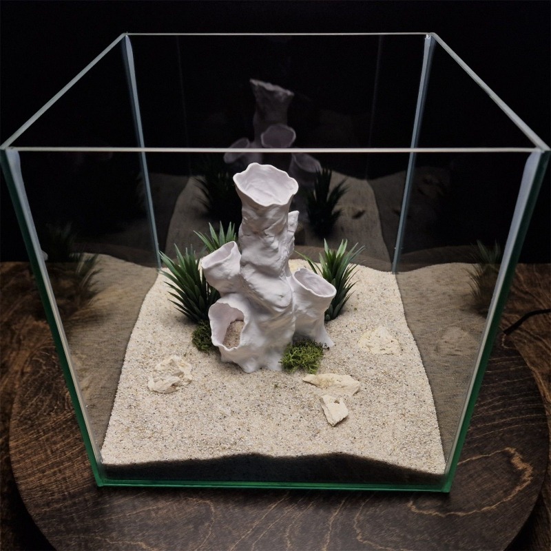 ホットセール 3Dプリント サンゴトンネル 隠れ家 植物イン - Aquarium Fish For Sale のレビューと価格