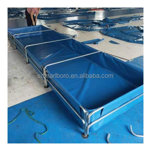 AIROWカスタム業務用高品質生魚用透明屋外正方形水槽販売中 - Aquarium Fish For Sale のレビューと価格