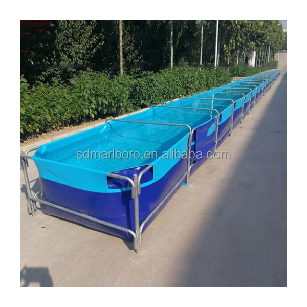 AIROWカスタム業務用高品質生魚用透明屋外正方形水槽販売中 - Aquarium Fish For Sale のレビューと価格