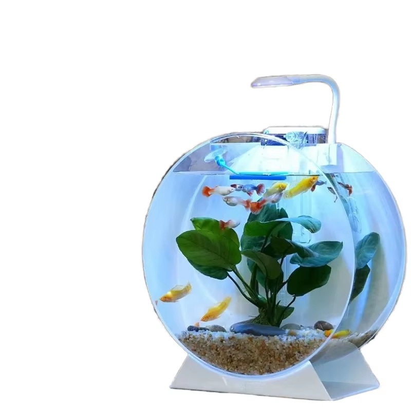 激安セール！モダンで環境に優しいアクリル製水槽、多様なサイズ - Aquarium Fish For Sale のレビューと価格
