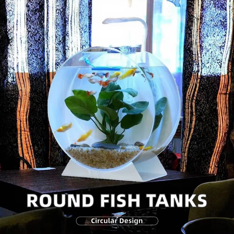 激安セール！モダンで環境に優しいアクリル製水槽、多様なサイズ - Aquarium Fish For Sale のレビューと価格
