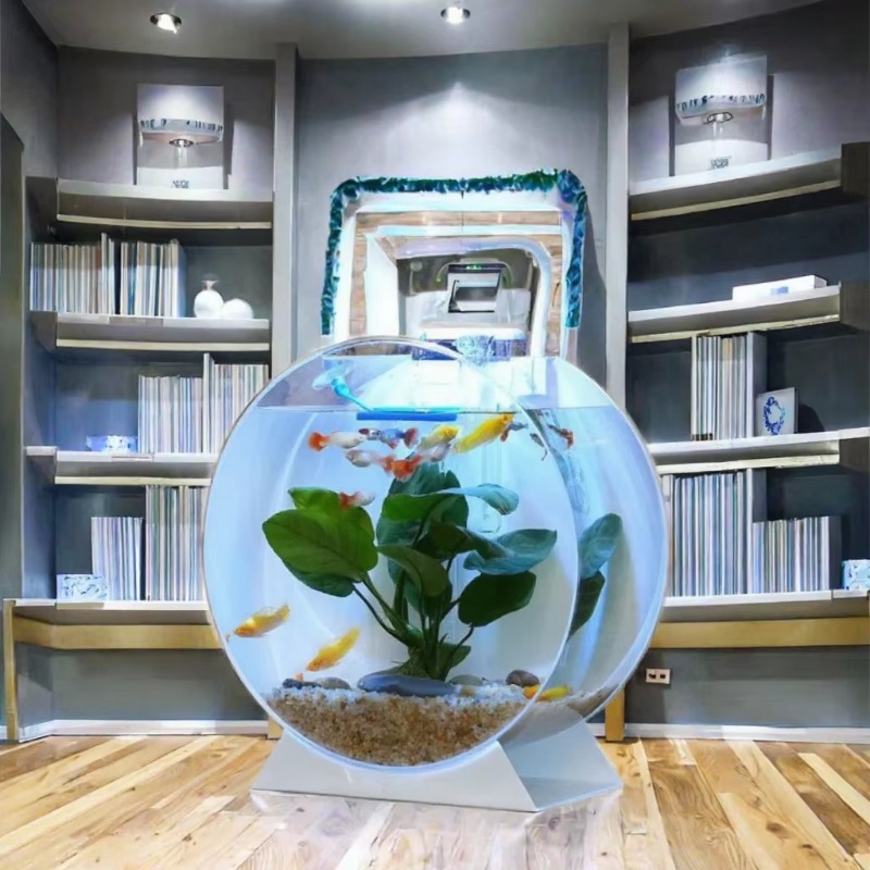 激安セール！モダンで環境に優しいアクリル製水槽、多様なサイズ - Aquarium Fish For Sale のレビューと価格