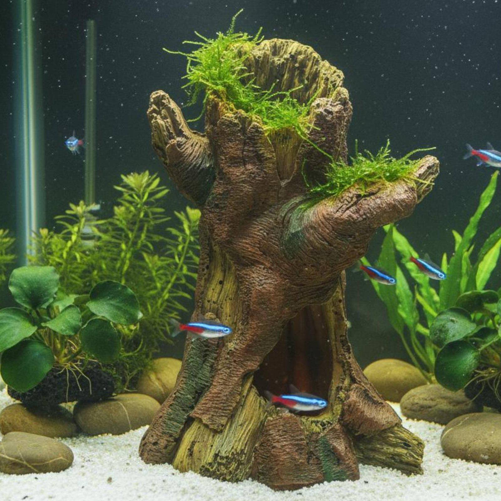 水槽の景観装飾、水槽デコレーション、樹脂製の木の幹のシェルタ - Aquarium Fish In のレビューと価格