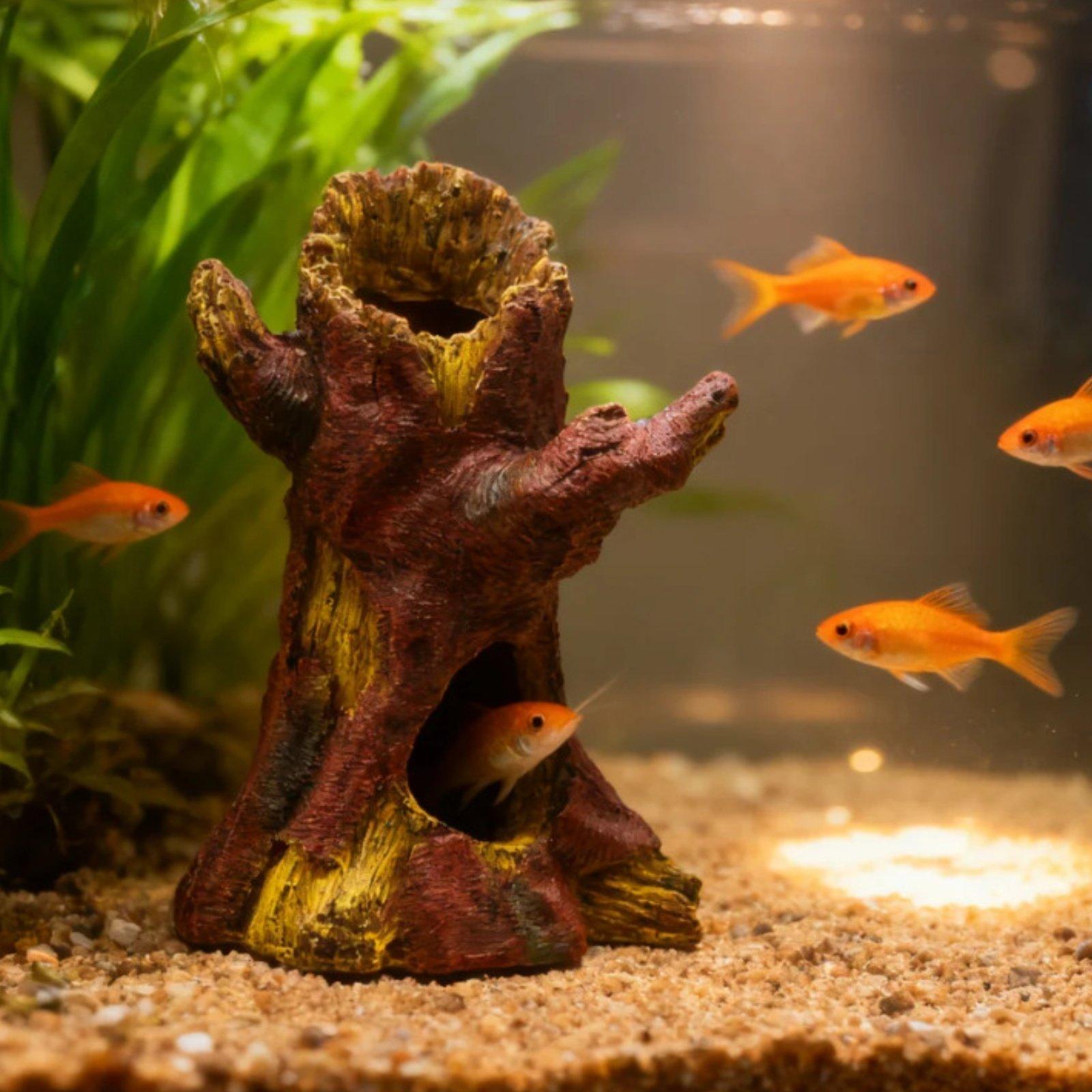 水槽の景観装飾、水槽デコレーション、樹脂製の木の幹のシェルタ - Aquarium Fish In のレビューと価格