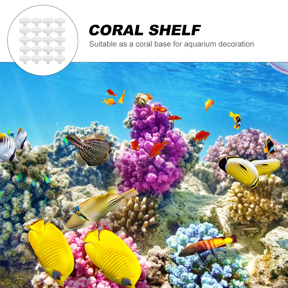 20 個サンゴ接着剤リーフセーフサンゴベース T 字型サンゴ - Aquarium Fish Reproduction のレビューと価格