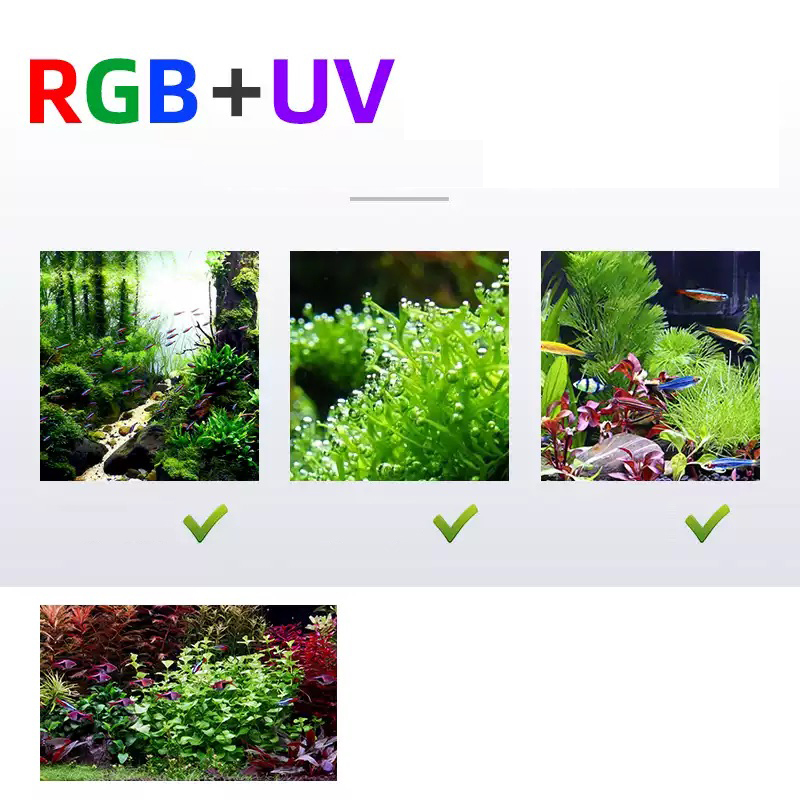 LED照明 60cm 80cm 90cm RGB UV 水槽 - Aquarium Fish For Sale のレビューと価格