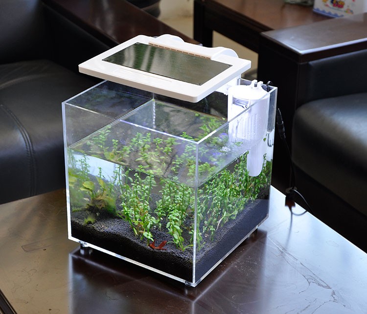 ミニアクリル水槽（25×25×25cm）照明・ろ過システム付 - Aquarium Fish For Sale のレビューと価格